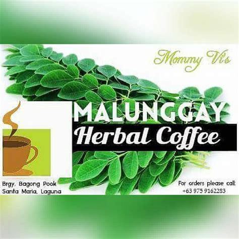 Malunggay in English – Translate “Malunggay” in .